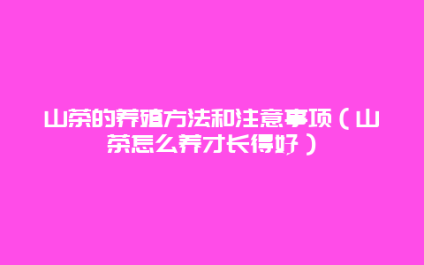 山茶的养殖方法和注意事项（山茶怎么养才长得好）