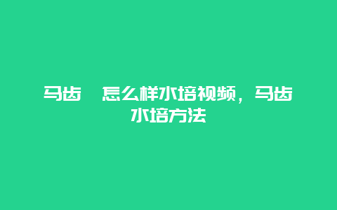 马齿苋怎么样水培视频，马齿苋水培方法