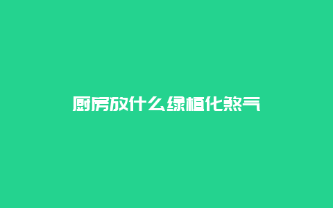 厨房放什么绿植化煞气