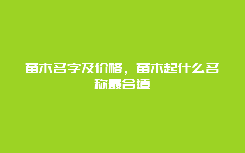 苗木名字及价格，苗木起什么名称最合适