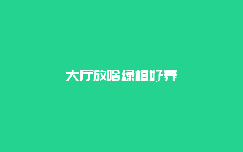 大厅放啥绿植好养