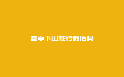 冬季下山桩移栽活吗