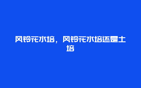 风铃花水培，风铃花水培还是土培