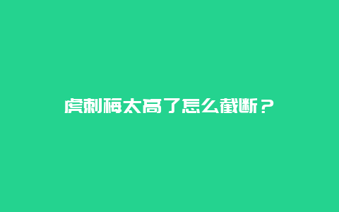 虎刺梅太高了怎么截断？