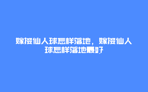 嫁接仙人球怎样落地，嫁接仙人球怎样落地最好