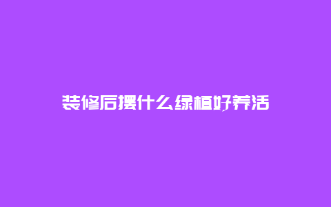 装修后摆什么绿植好养活