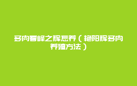 多肉春峰之辉怎养（艳阳辉多肉养殖方法）