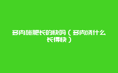 多肉施肥长的快吗（多肉浇什么长得快）