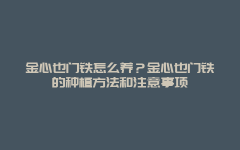 金心也门铁怎么养？金心也门铁的种植方法和注意事项