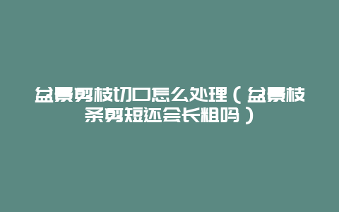 盆景剪枝切口怎么处理（盆景枝条剪短还会长粗吗）