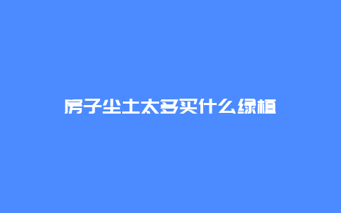 房子尘土太多买什么绿植