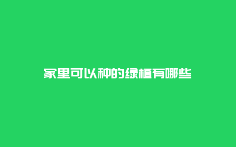 家里可以种的绿植有哪些