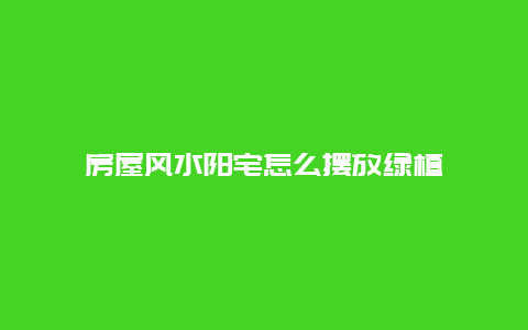 房屋风水阳宅怎么摆放绿植