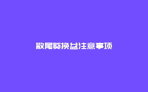 散尾葵换盆注意事项