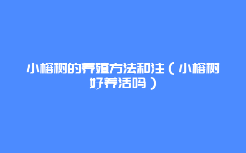 小榕树的养殖方法和注（小榕树好养活吗）