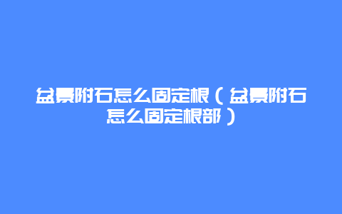 盆景附石怎么固定根（盆景附石怎么固定根部）