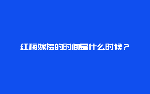 红梅嫁接的时间是什么时候？