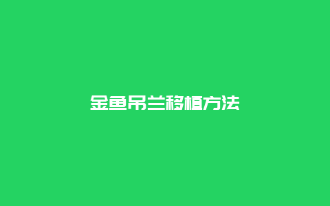 金鱼吊兰移植方法