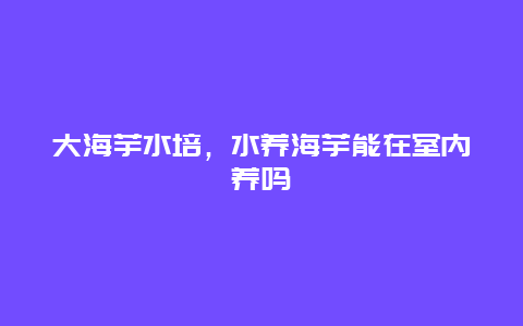 大海芋水培，水养海芋能在室内养吗