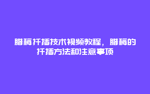 腊梅扦插技术视频教程，腊梅的扦插方法和注意事项