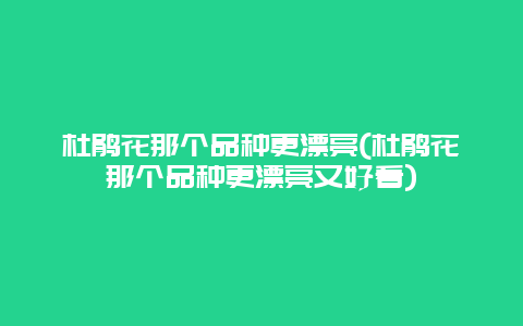 杜鹃花那个品种更漂亮(杜鹃花那个品种更漂亮又好看)