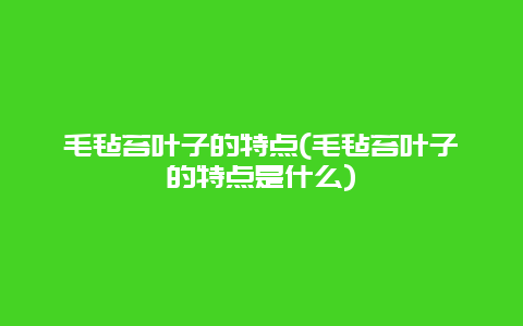 毛毡苔叶子的特点(毛毡苔叶子的特点是什么)