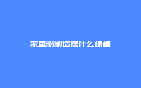 家里粉刷墙摆什么绿植