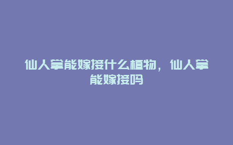 仙人掌能嫁接什么植物，仙人掌能嫁接吗