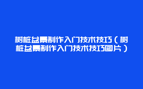 树桩盆景制作入门技术技巧（树桩盆景制作入门技术技巧图片）