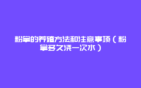 粉掌的养殖方法和注意事项（粉掌多久浇一次水）