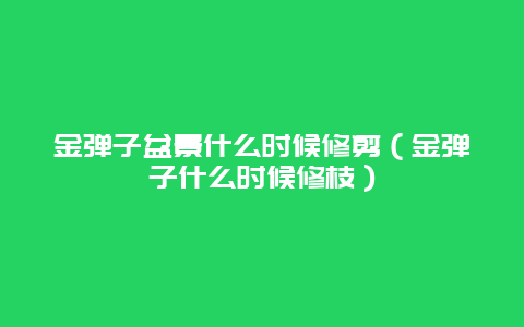 金弹子盆景什么时候修剪（金弹子什么时候修枝）