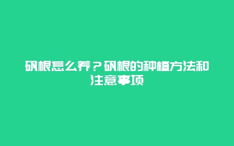 矾根怎么养？矾根的种植方法和注意事项