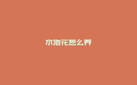 水泡花怎么养