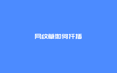 网纹草如何扦插