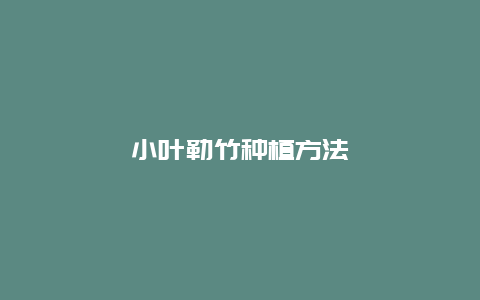 小叶勒竹种植方法