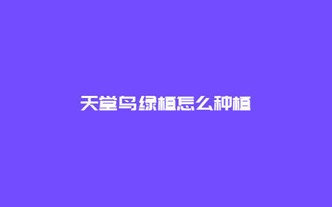 天堂鸟绿植怎么种植