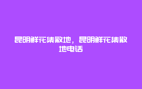 昆明鲜花集散地，昆明鲜花集散地电话