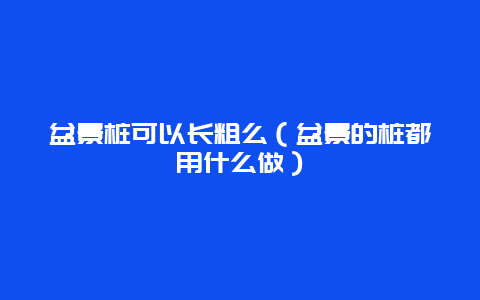 盆景桩可以长粗么（盆景的桩都用什么做）