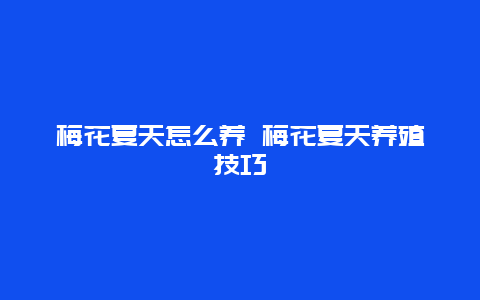 梅花夏天怎么养 梅花夏天养殖技巧