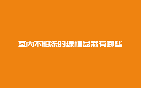 室内不怕冻的绿植盆栽有哪些