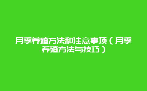 月季养殖方法和注意事项（月季养殖方法与技巧）