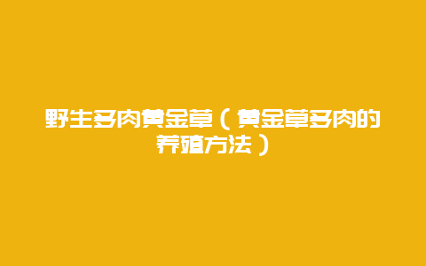 野生多肉黄金草（黄金草多肉的养殖方法）