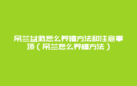 吊兰盆栽怎么养殖方法和注意事项（吊兰怎么养植方法）