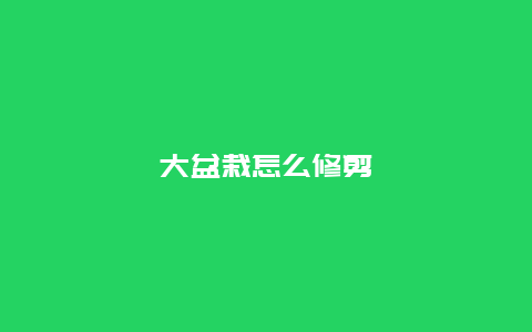 大盆栽怎么修剪