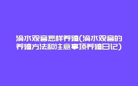 滴水观音怎样养殖(滴水观音的养殖方法和注意事项养殖日记)