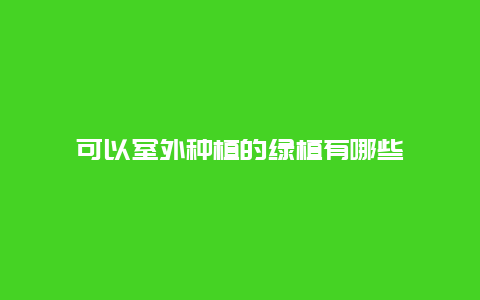 可以室外种植的绿植有哪些