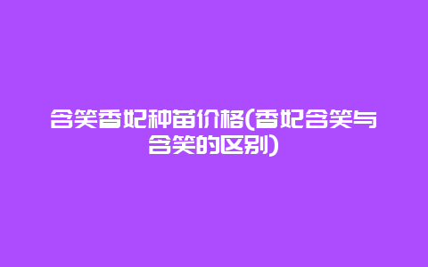 含笑香妃种苗价格(香妃含笑与含笑的区别)