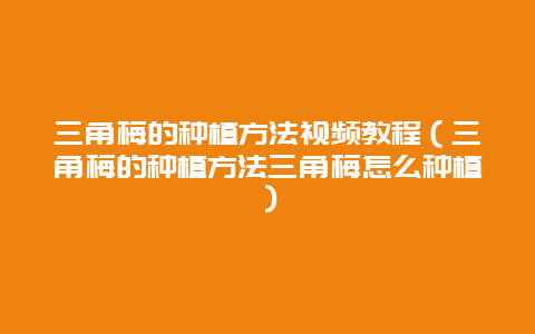 三角梅的种植方法视频教程（三角梅的种植方法三角梅怎么种植）