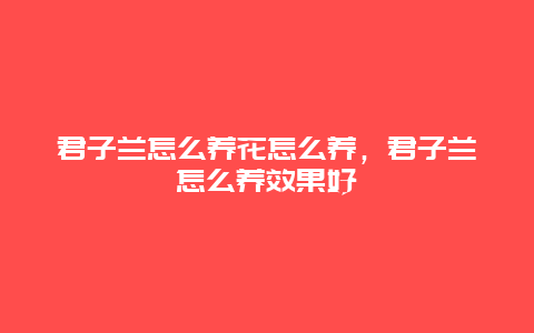 君子兰怎么养花怎么养，君子兰怎么养效果好