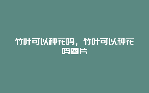 竹叶可以种花吗，竹叶可以种花吗图片